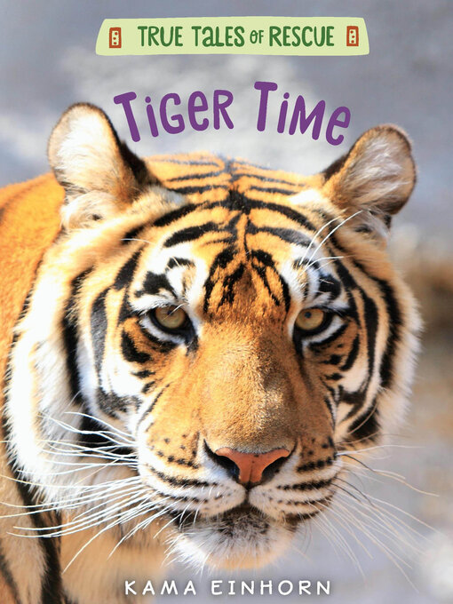 Title details for Tiger Time by Kama Einhorn - Available